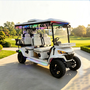 Faltbarer Golfwagen 2-Sitzer Elektrischer Tragbarer Mini-Buggy für Reisen - Product Image 1