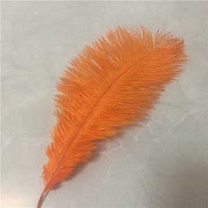 Prezzo all'ingrosso 15-70cm piume di struzzo soffici naturali - Product Image 2