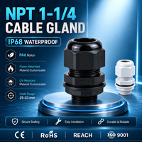 Presse-étoupe NPT1-1/4 en nylon PA66 avec indice d'étanchéité IP68 et durabilité anti-vieillissement