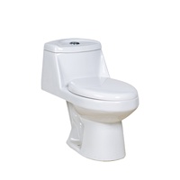 WC monobloc en céramique à siphon en S, design moderne, neuf, pour salle de bain, à poser au sol