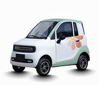 Véhicule électrique à 4 roues homologué CE, certifié EEC COC CE, carrosserie entièrement fermée, pour adultes, nouvelle énergie, 3000W, 45km/h