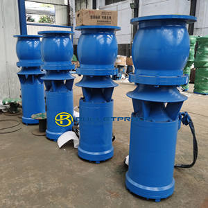 Bomba Sumergible de Flujo Mixto Axial de 5m, 380V-660V, 7.5kW-800kW, para Aguas Residuales y Control de Inundaciones, Fabricada en China - Product Image 2