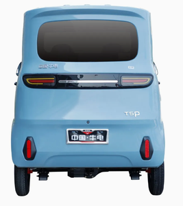 Mini Auto Eléctrico de 4 Puertas, 4 Asientos, Motor de 5000w, Homologación EEC, Precio Económico para Familias - Product Image 4