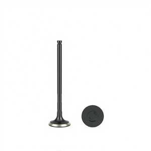 Soupape de moteur pour TOYOTA YARIS (_P13_) 1.0 (KSP130_, KSP130) Daihatsu <span class=keywords><strong>IRION</strong></span> (M3_) 1.0 (M300) 1KR-FE OE:13715-B1020 - Product Image 1