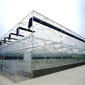 Invernadero Multi-span para Polinización/Protección de Plantas, Apto para Cultivo de Tomates de Alta Gama - Product Image 2