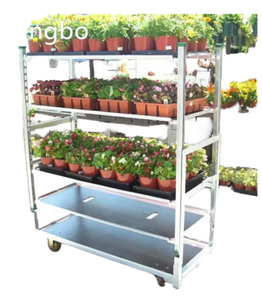 Étagères de présentation sur chariot danois, chariot à fleurs pour serre, étagère de pépinière, chariots danois, étagère de rangement robuste en bois - Product Image 1