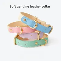 Accessoires pour animaux de compagnie Collier et laisse pour petits chiens moyens Chats Collier réglable Colliers pour chiens en cuir Ensemble de laisse