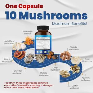 Complément alimentaire à base de champignons haute puissance pour la mémoire et la concentration, pour hommes et femmes, 150 capsules, capsules de champignons - Product Image 6