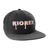 Casquettes de baseball de sport de plein air à bord plat noir personnalisé OEM