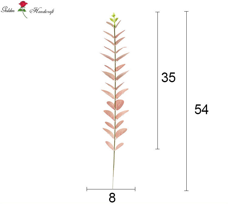 ยูคาลิปตัส3