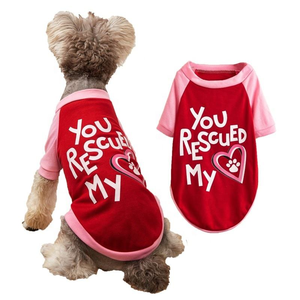 Ropa para Perros y Osos de Peluche Estilo Europeo Americano, Nueva Camiseta de Verano Delgada de Algodón en Tallas XS-L, Varios Colores con Patrón de Letras - Product Image 5