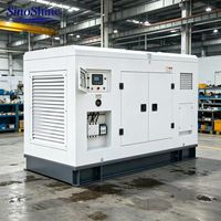 Groupe électrogène diesel silencieux SinoShine 300 kVA, type conteneur, triphasé, insonorisé avec ATS 400 V 50 Hz pour centrale électrique