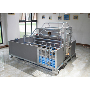 Prix d'usine Nouvelle cage de maternité pour porcs en acier galvanisé à chaud anti-corrosion, durée de vie de 15 à 25 ans, système d'alimentation entièrement automatique - Product Image 1