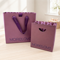 Sac cadeau pliable en papier finition mate avec poignée en cordon tressé pour fêtes, cafés, fleuristes, souvenirs et cadeaux à emporter