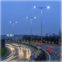 INDICE Public Luminaire Éclairage de chaussée Lampadaire Lampadaire rond Coutryard City ROAD LIGHT