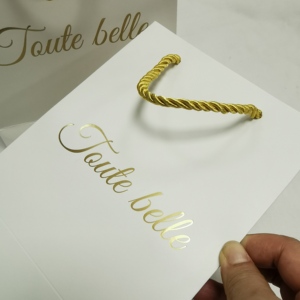 Échantillon Gratuit, Petite Quantité, Sac en Papier Personnalisé de Luxe avec Estampage à Chaud Doré, Sacs en Carton Colorés et Unis avec Votre Propre Logo - Product Image 2