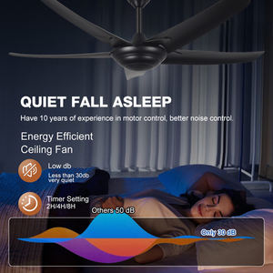 モダンな電気モーター冷却ファンランプAbs Bladeリモコン天井ファン - Product Image 5