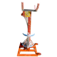 Treuil de construction électrique AC 300 kg, 4,9 m, certifié CE, avec câble en acier renforcé neuf, 220 V/380 V, pour montage de unités de plafond