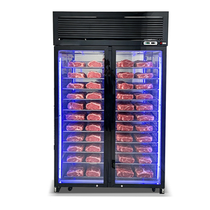 Gabinete Comercial de Enfriamiento Directo de Acero Inoxidable para Maduración en Seco de Carne y Esmaltado de Carne Húmeda con Pantalla de Temperatura <span class=keywords><strong>Constante</strong></span> - Product Image 1