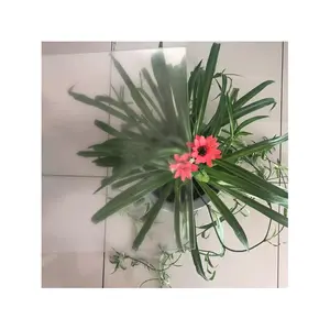 2mm 3mm 4mm高光透過率アンチグレアAG医療 & 産業用拡散反射ガラス - Product Image 1