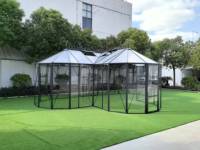 Growell Serre de jardin extérieure Cadre en aluminium durable et solide avec verre trempé Assemblage facile