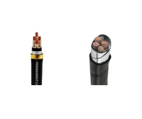 0,6/1kv Cable de alimentación eléctrica de bajo voltaje Yjv Yjv22 Yjv23 Yjlv Yjlv22 Yjlv23 Bbtrz Bttrz Jklyj Jklgyj Xlpe Conductor de cobre