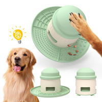 Nouveau distributeur d'aliments pour animaux de compagnie en silicone 2-en-1 avec puzzle chat jouet ventouse antidérapant accessoires d'alimentation lente écologique anti-fuite