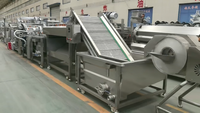 Goedkope, hoogproductieve, volautomatische productielijn voor Franse frieten, industriële productielijn voor diepvriesfrieten