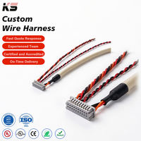 Kabel OEM Kustom SH ZH PH XH SM 1.0 1.5 2.0 2.54 Konektor Otomatis Male ke Female Terminal Harness Kabel Lengkap