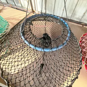 Buy Premium eel trap fishing nets For Fishing 