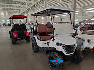 Venta rápida 4 ruedas 4 <span class=keywords><strong>Sester</strong></span> Club Car Electric Golf Cart carritos de golf de pasajeros <span class=keywords><strong>el</strong></span>éctricos para la venta - Product Image 4