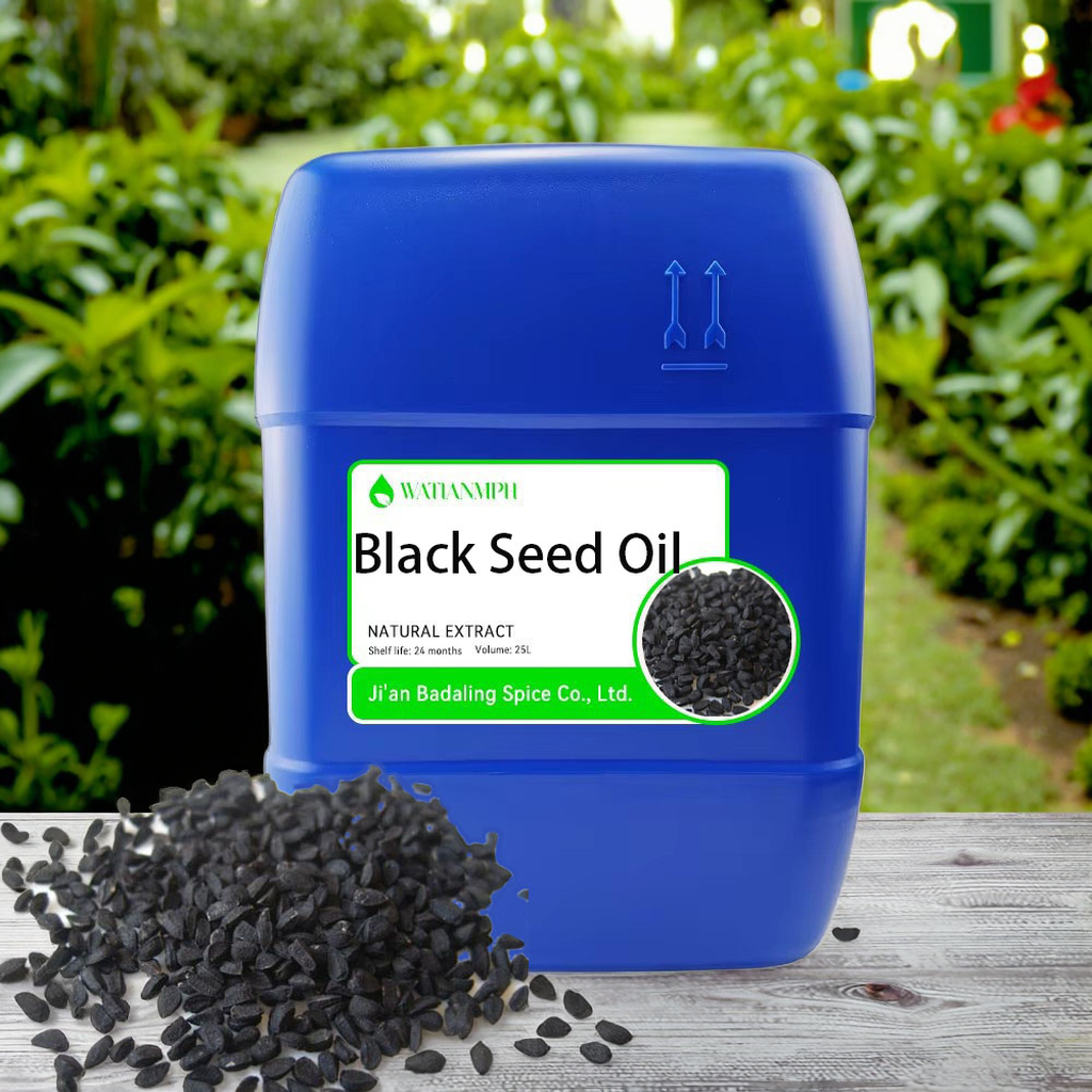 Wholesale New Arrival 100% Natural Organic Black Seed Oil Fresh Odor Pure Essential Oil Skin Hair Care OEM Supply Private Label