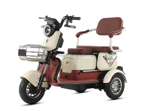 <span class=keywords><strong>Triciclo</strong></span> Eléctrico para Personas Mayores con Asiento Espacioso, Canasta Delantera y Diseño de Tres Ruedas Estable para Viajes Seguros y Cómodos - Product Image 2