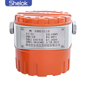 Shelok เครื่องวัดความดันดิจิตอลที่ปลอดภัยภายในได้รับการรับรอง <span class=keywords><strong>cnex</strong></span> สำหรับโรงกลั่นน้ำมันและโรงงานแปรรูปสารเคมี - Product Image 3