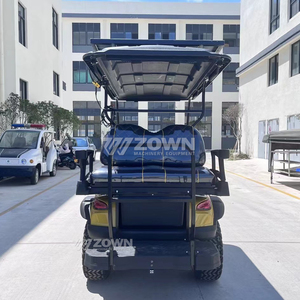 Carrito de Golf Eléctrico de 4 Pasajeros con Toldo y Cinturón de Seguridad, Diseño 2026, Certificado CE, para Turismo y Golf - Product Image 4