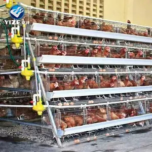 Cina Pemasok Peternakan Unggas Desain Tata Letak/Uganda Peternakan Unggas Otomatis Kandang Ayam