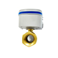 Vanne à boisseau sphérique électrique à distance Navarch LoRaWan avec interrupteur de débit pour contrôle de zone, irrigation intelligente, étanche IP68, haute température, OEM