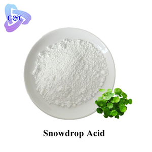Extrait naturel d'<span class=keywords><strong>hydrocotyle</strong></span> (Centella Asiatica) CAS 84696-21-9, incluant Asiaticoside, Acide Snowdrop, Madecassoside, Glycosides totaux - Product Image 5