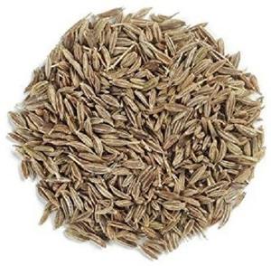 Graines de cumin bio très demandées, épice aromatique Jeera pour assaisonnement culinaire, disponible à la vente - Product Image 3