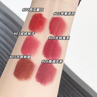 Baume à lèvres mat velouté Soft Veil, idéal pour l'automne et l'hiver, adapté aux carnations jaunes, éclaircissant et tendance pour femmes.
