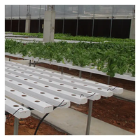 Système hydroponique A Frame NFT Channel Croissance de plantes hydroponiques verticales personnalisées