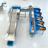 Hoge Efficiëntie Box Potato Sorteermachine voor Ronde Groentewerkplaats met Voerlift 460 stuks/min capaciteit