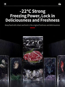 Congélateur Vitrine Commerciale -25°C Monotempérature à Refroidissement par Air, Vitrine Réfrigérée 3 Portes en Acier Inoxydable pour Aliments Surgelés - Product Image 5