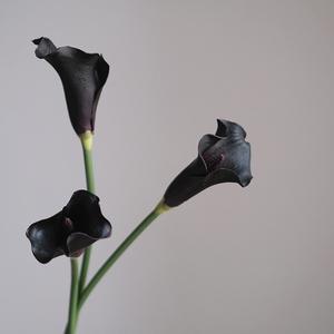 Fleurs artificielles au toucher réel, lys d'<span class=keywords><strong>arum</strong></span>, lys calla en PU, fleurs décoratives pour mariage, décoration de la maison, Noël, remise de diplôme - Product Image 1