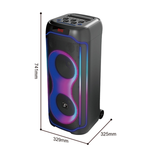 CQS-S6611 Enceinte DJ professionnelle double 8 pouces en plastique avec éclairage RGB, 2 microphones sans fil, promotion usine, grand karaoké - Product Image 4