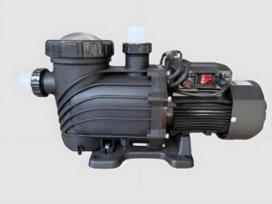 เครื่องสูบน้ำในสระว่ายน้ำรุ่น <span class=keywords><strong>Spp</strong></span> 0.75hp ใหม่ล่าสุด - Product Image 4
