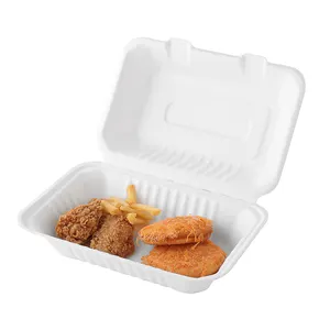 2023 Hochwertige 9*6 Zoll Einweg-Clamshell-Lebensmittel behälter Bagasse biologisch abbaubare Lunchbox zum Mitnehmen mit Besteckset