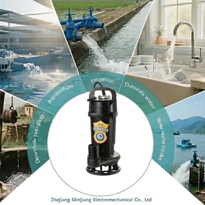 <span class=keywords><strong>Pompe</strong></span> submersible <span class=keywords><strong>solaire</strong></span> DC48/60/72V pour eaux usées, haute performance, hauteur <span class=keywords><strong>de</strong></span> refoulement 8m, 550W, DN40, pour drainage des eaux <span class=keywords><strong>de</strong></span> <span class=keywords><strong>pluie</strong></span> - Approvisionnement en gros usine - Product Image 4