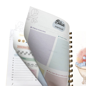 A5 diario personalizzato stampa pianificatore mensile di lusso pianificatore di cura personale Agenda Agenda con confezione regalo - Product Image 6