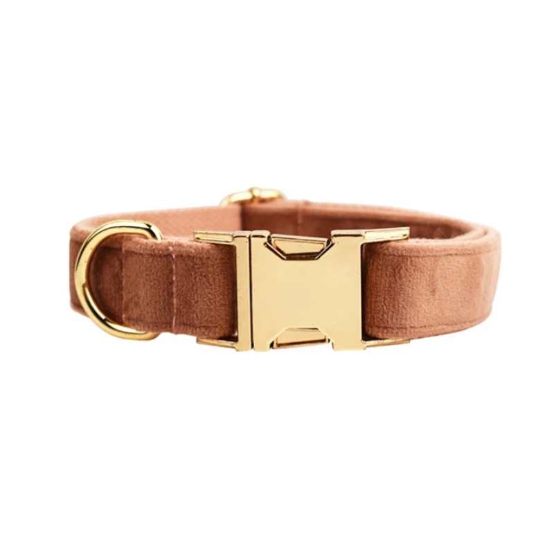 Marron chameau